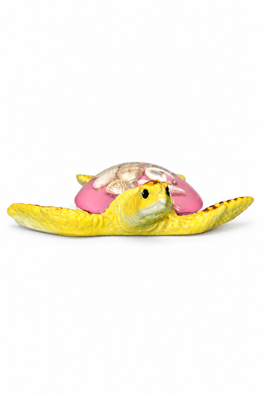 Pink Shell Turtle - 02-angle