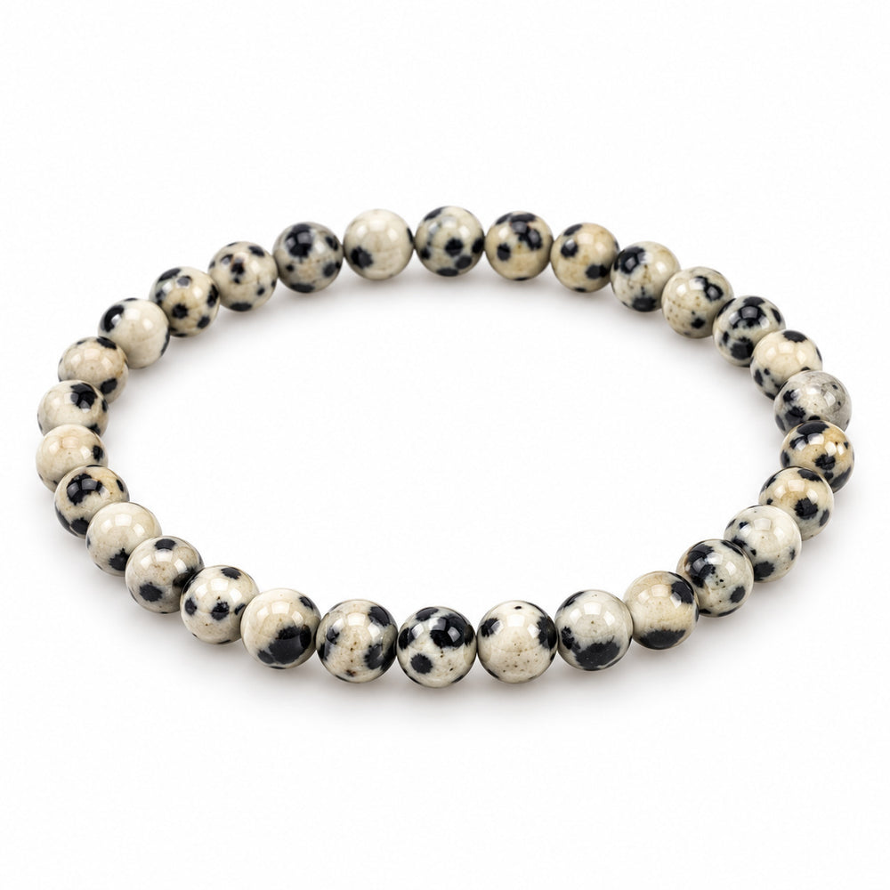 Dalmatian Jasper Bead Bracelet — tabletop hero