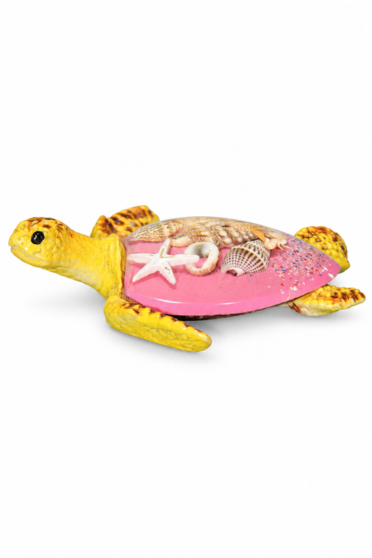 Pink Shell Turtle - 01-main