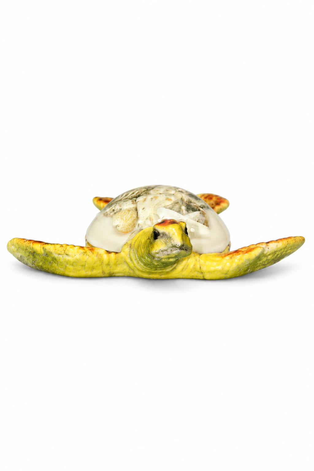 Yellow Shell Turtle - 02-angle