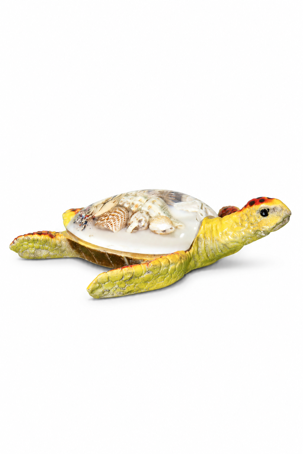 Yellow Shell Turtle - 03-side