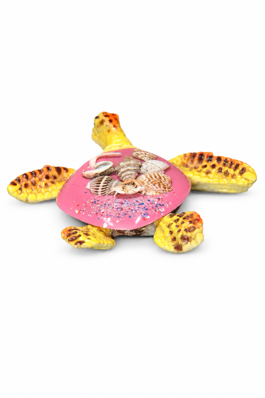 Pink Shell Turtle - 04-back
