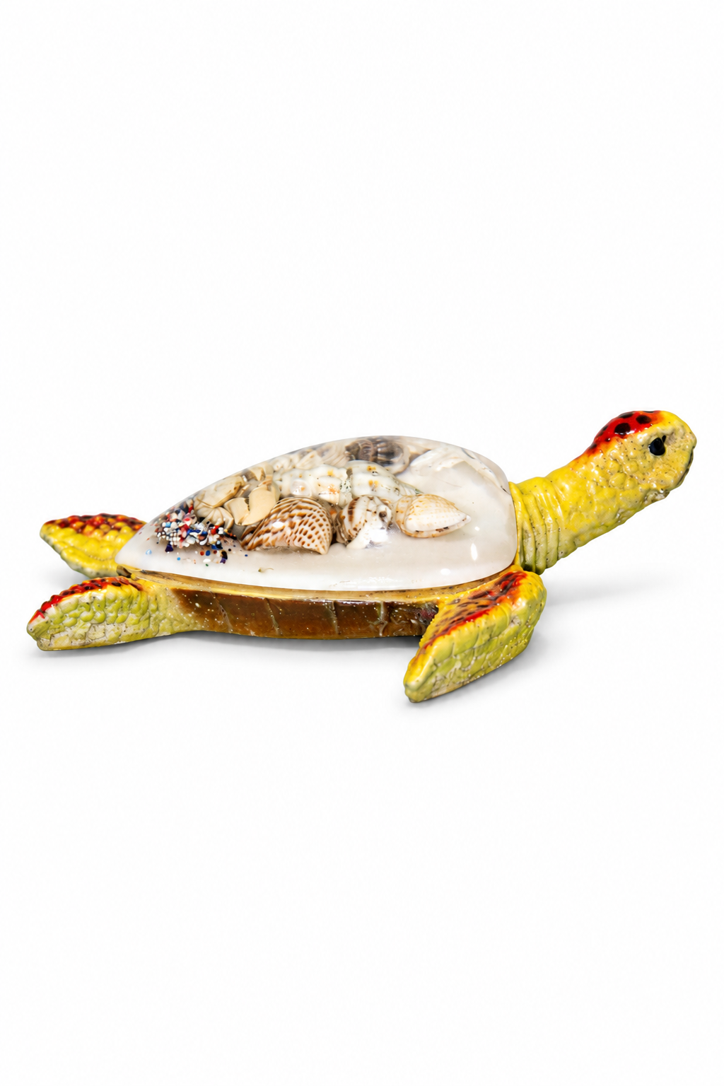 Yellow Shell Turtle - 04-back