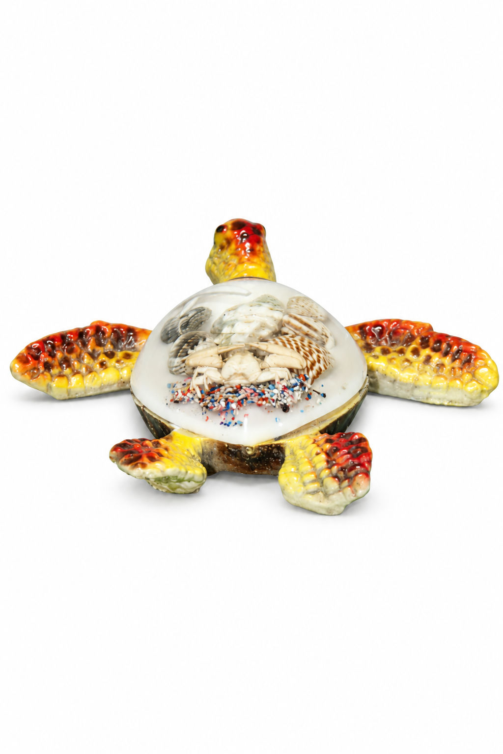 Yellow Shell Turtle - 05-detail