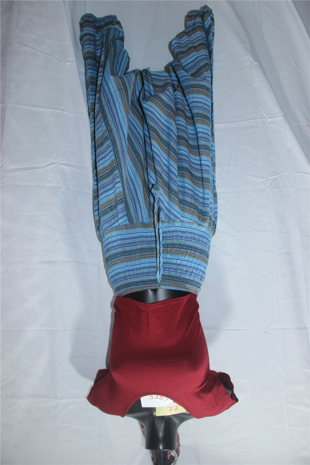 Blue Stripe Tapered Pants full garment fit view