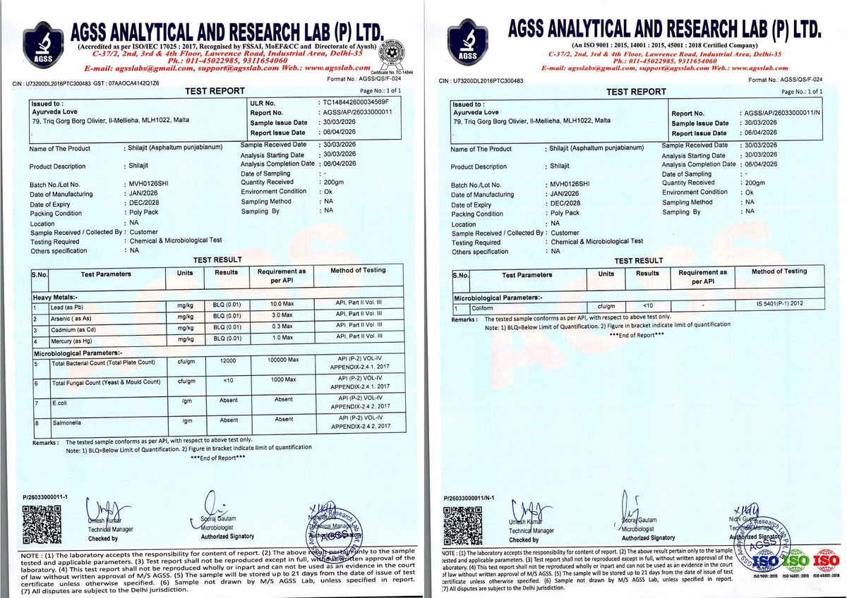 Shilajit (Asphaltum) — product information