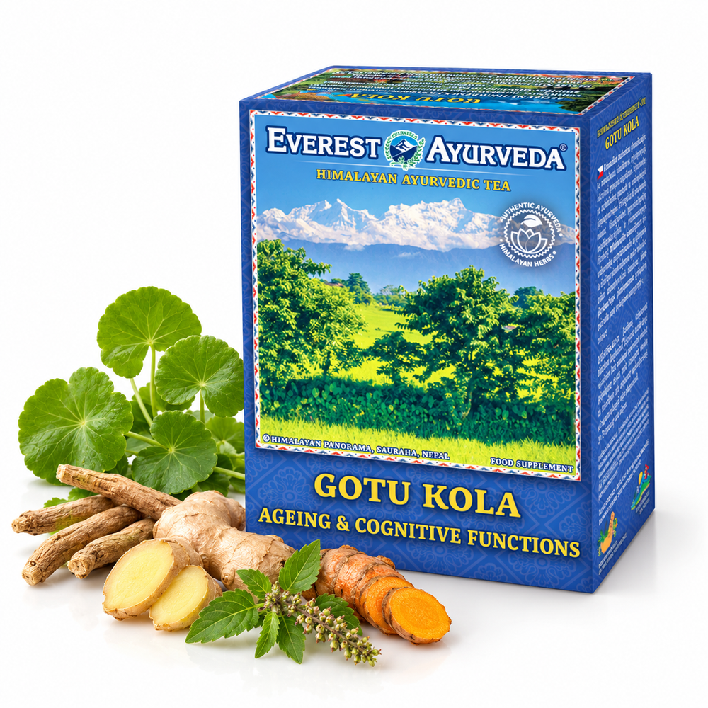 Gotu Kola Ayurvedic herbal tea with gotu kola, ashwagandha, ginger, turmeric and tulsi