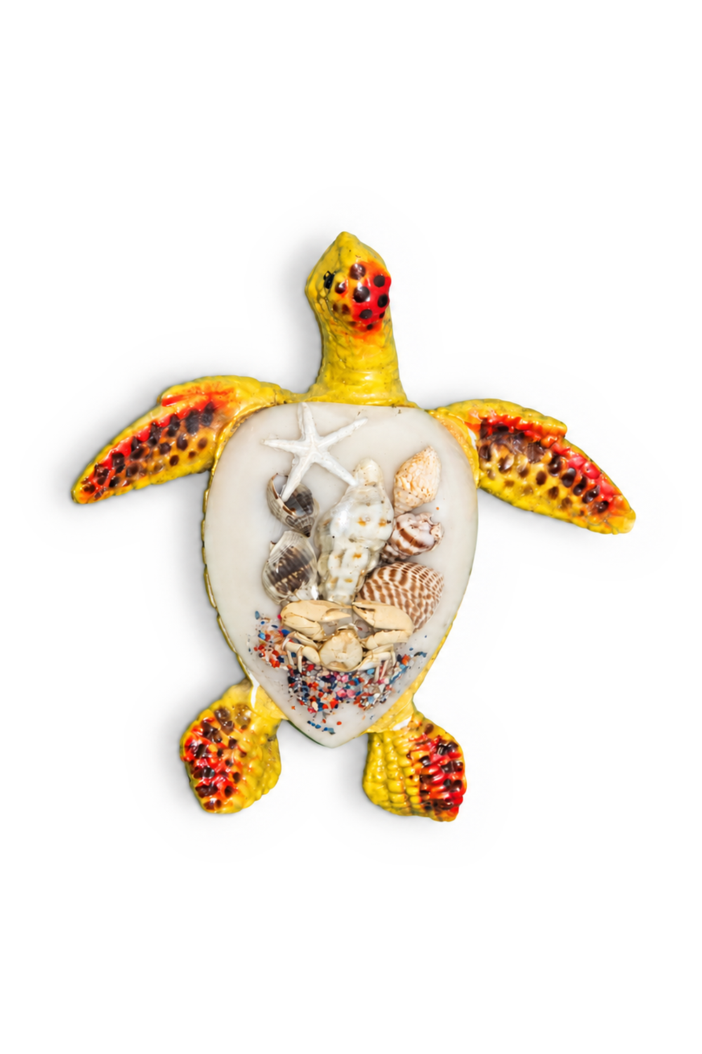 Yellow Shell Turtle - vertical enlarged primary image